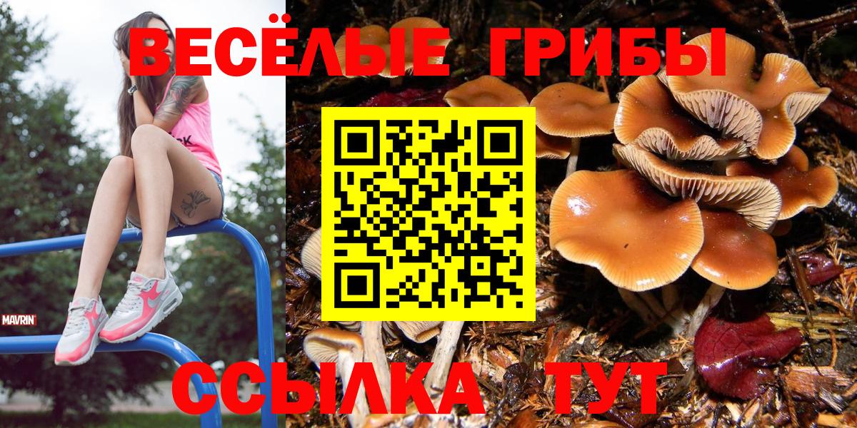 Псилоцибиновые грибы Cubensis  Псилоцибиновые грибы Psilocybine cubensis  Вход с VPN  Коркино 