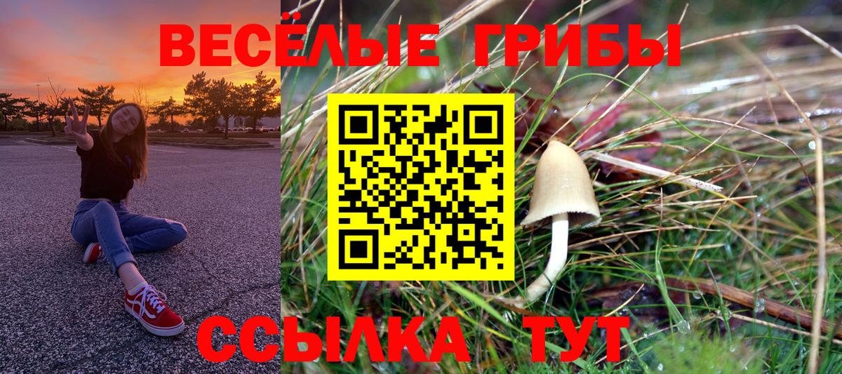 Галлюциногенные грибы GOLDEN TEACHER Коркино